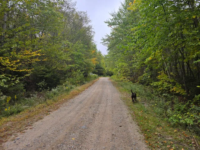 $69,900 | 60 Eleanor Mae Road, Cherryfield, ME 04622