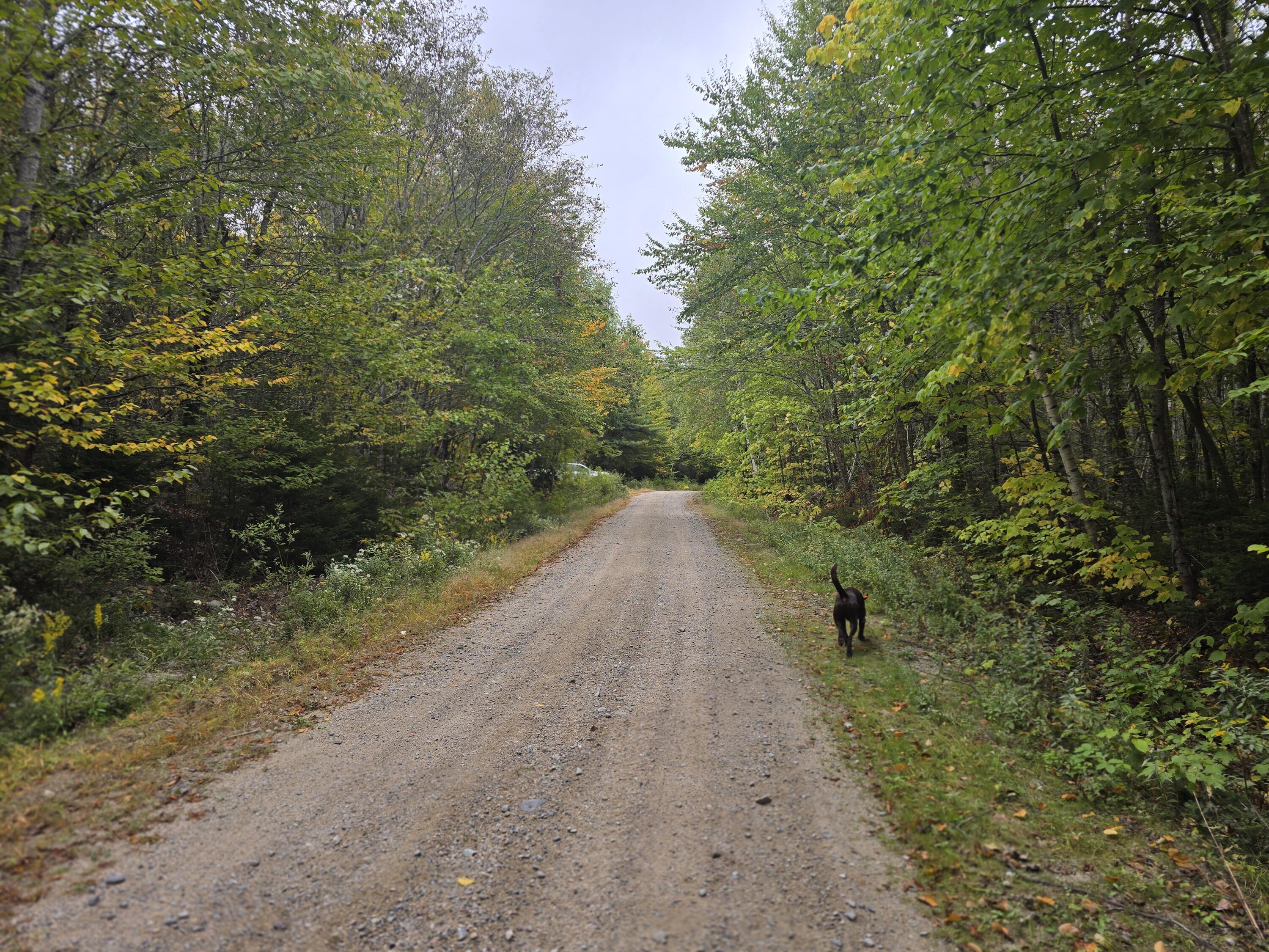 60 Eleanor Mae Road Cherryfield, ME 04622 - Photo 11 of 14 20250924_141751