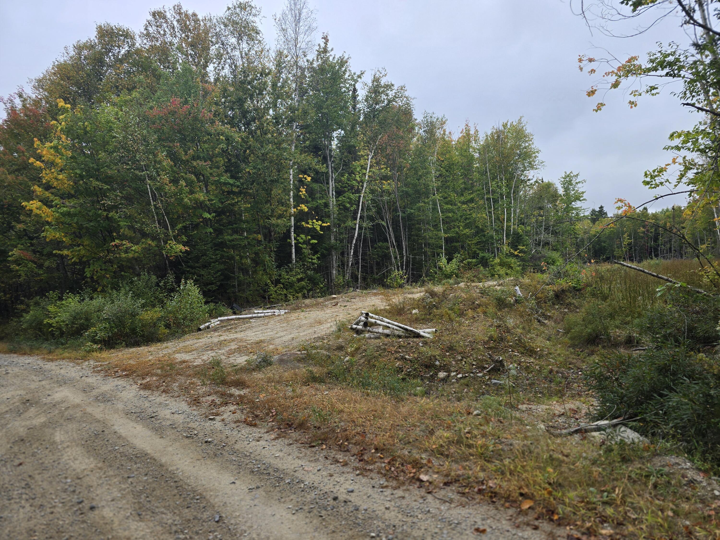 60 Eleanor Mae Road Cherryfield, ME 04622 - Photo 12 of 14 20250924_141930