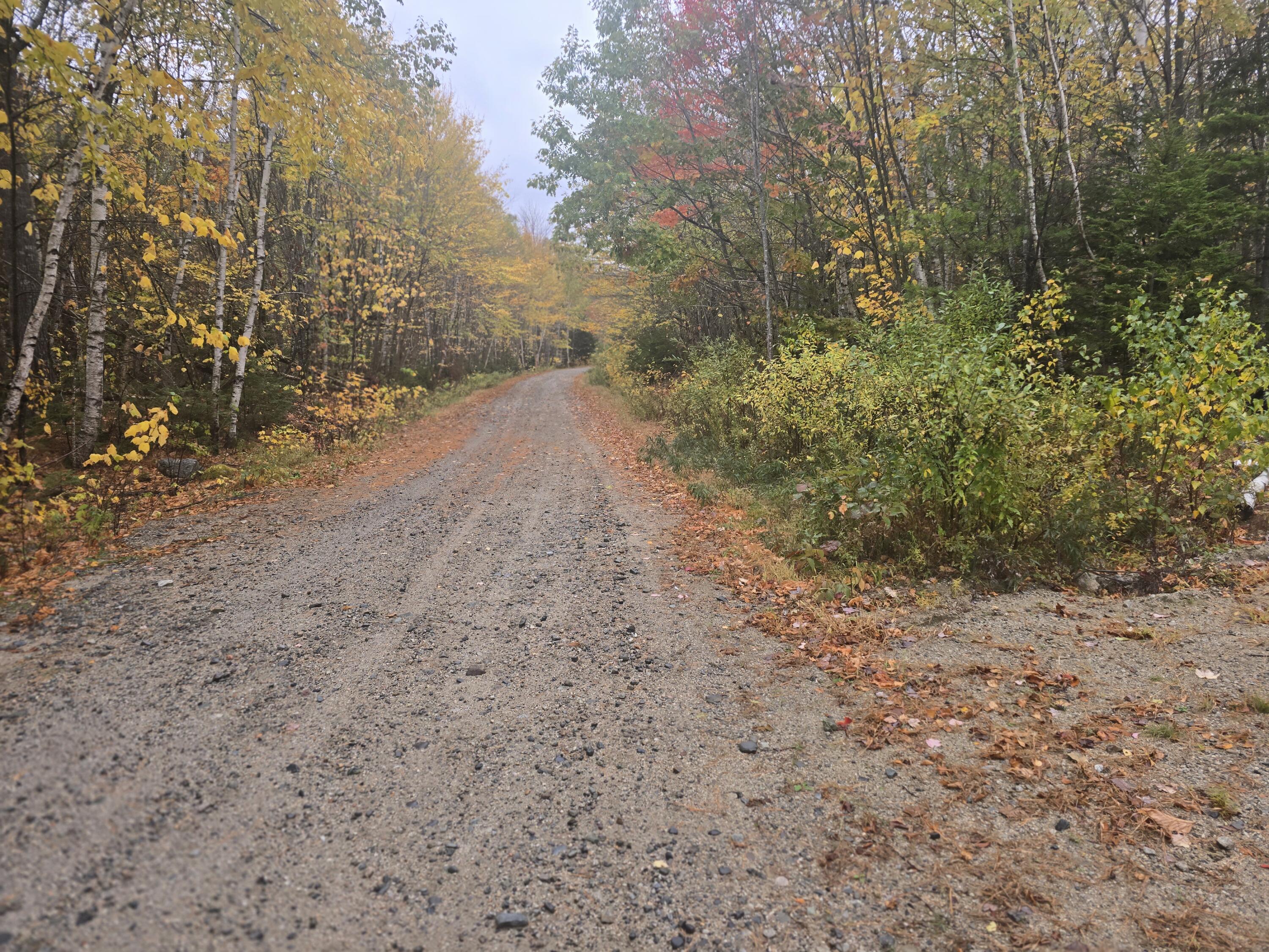 60 Eleanor Mae Road Cherryfield, ME 04622 - Photo 13 of 14 20251016_152423