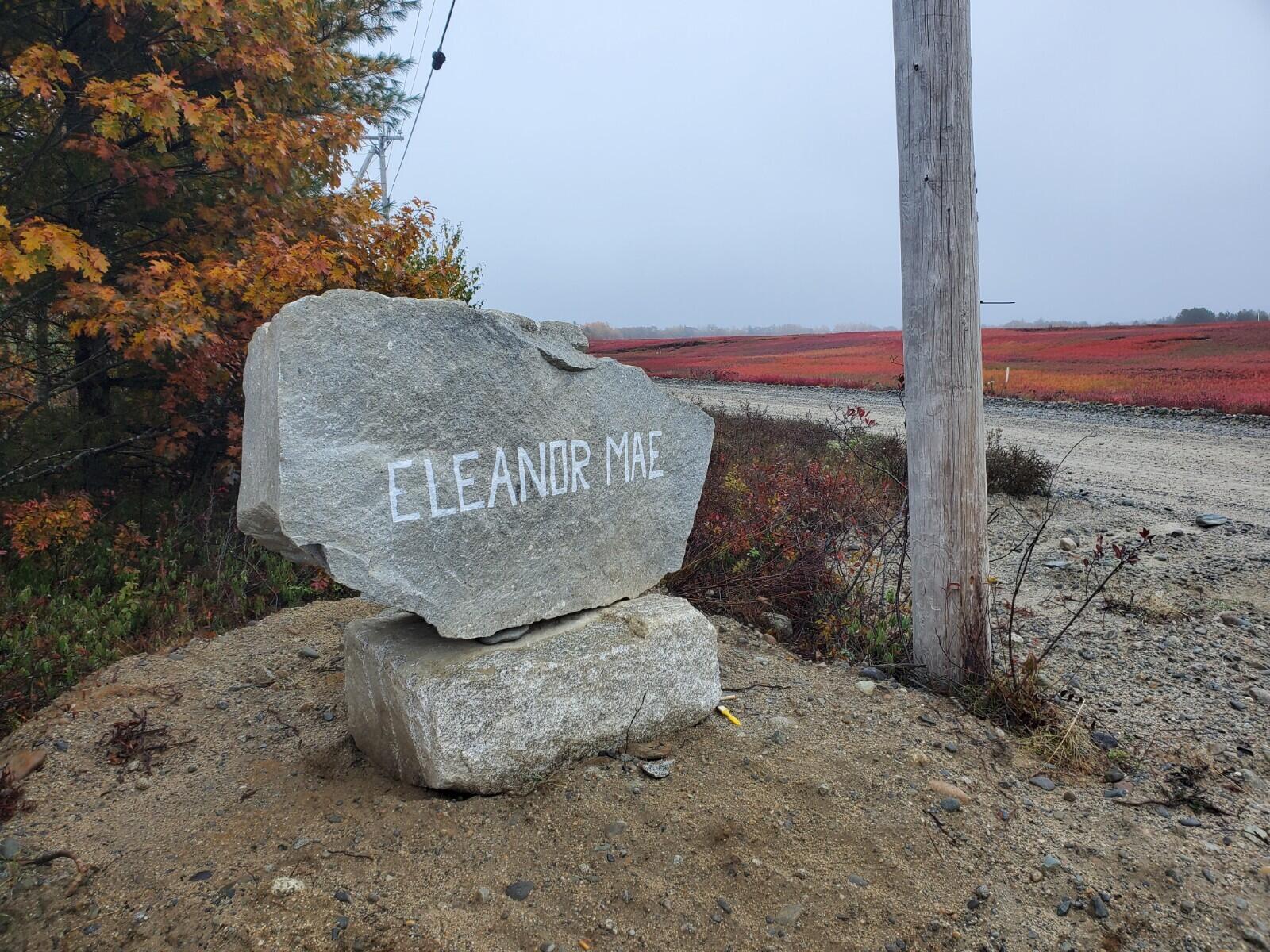 60 Eleanor Mae Road Cherryfield, ME 04622 - Photo 2 of 14 20221017_081828 (2)