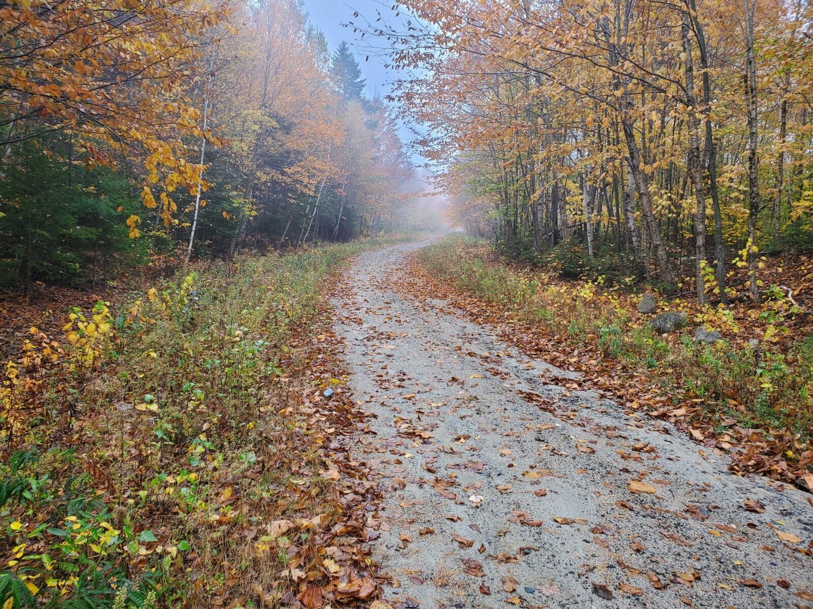 60 Eleanor Mae Road Cherryfield, ME 04622 - Photo 4 of 14 20221017_083436