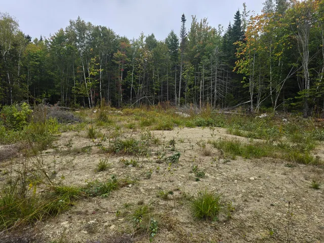 $69,900 | 60 Eleanor Mae Road, Cherryfield, ME 04622