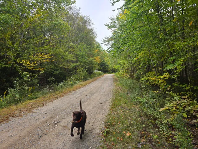 $69,900 | 60 Eleanor Mae Road, Cherryfield, ME 04622