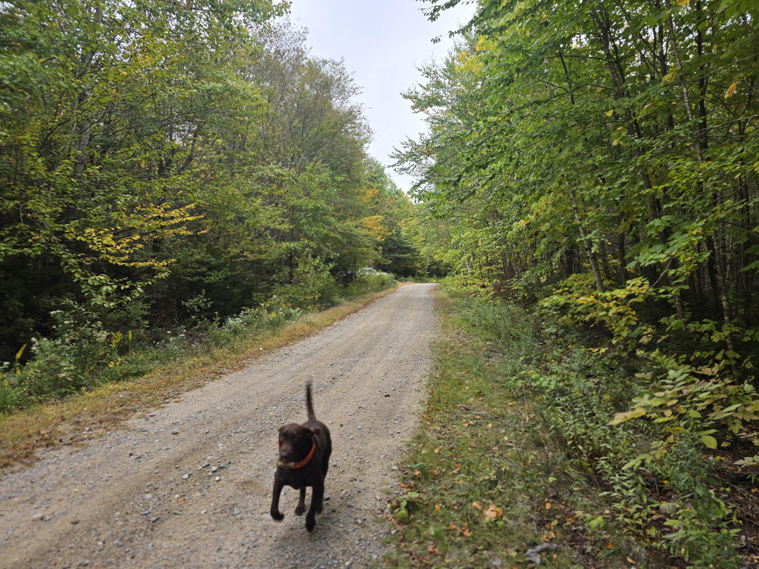 60 Eleanor Mae Road Cherryfield, ME 04622 - Photo 10 of 14 20250924_141743