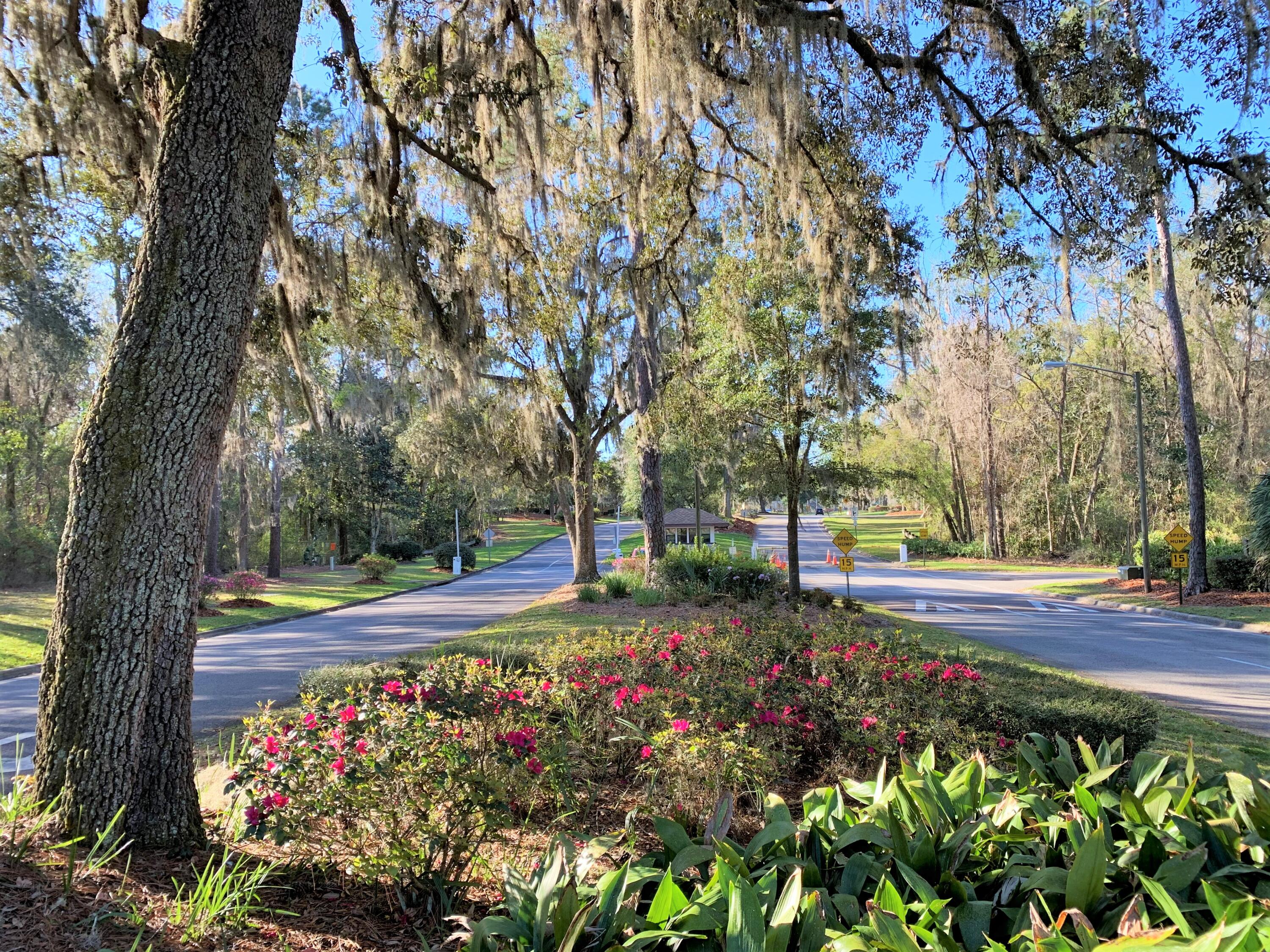 6367 Northwest 109th Place Alachua, FL 32615 - Photo 14 of 15 a view of a garden with flowers and trees