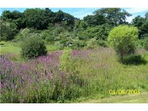 2 R Senter Cove Road, Unit 2R Derry, NH 03038 - Photo 5 of 9