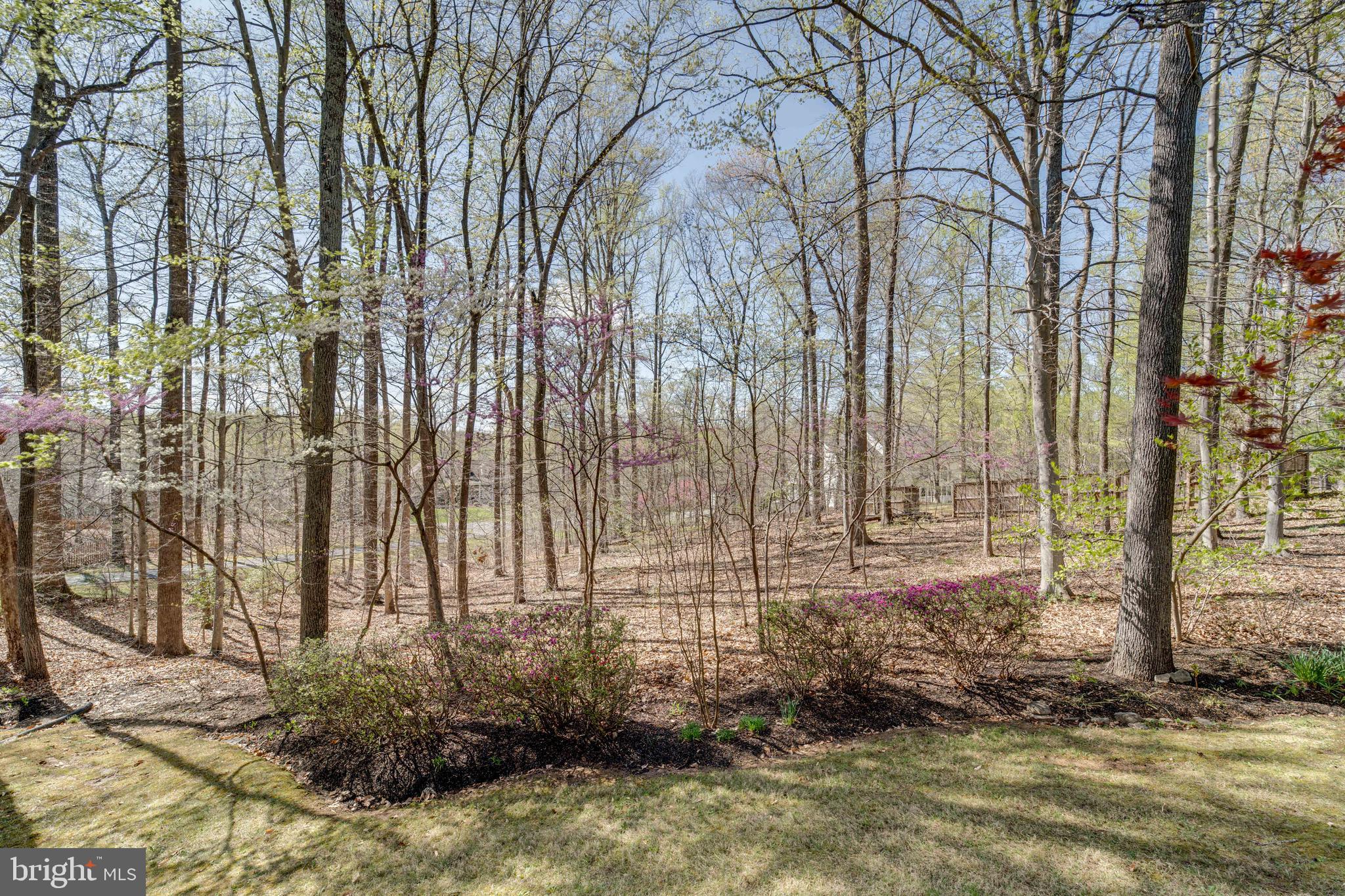 8232 Honeysuckle Road Manassas, VA 20112 - Photo 68 of 76