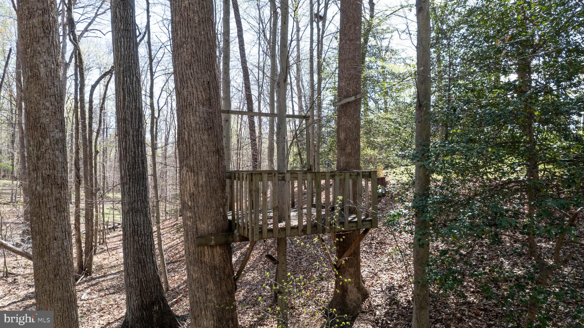 8232 Honeysuckle Road Manassas, VA 20112 - Photo 70 of 76