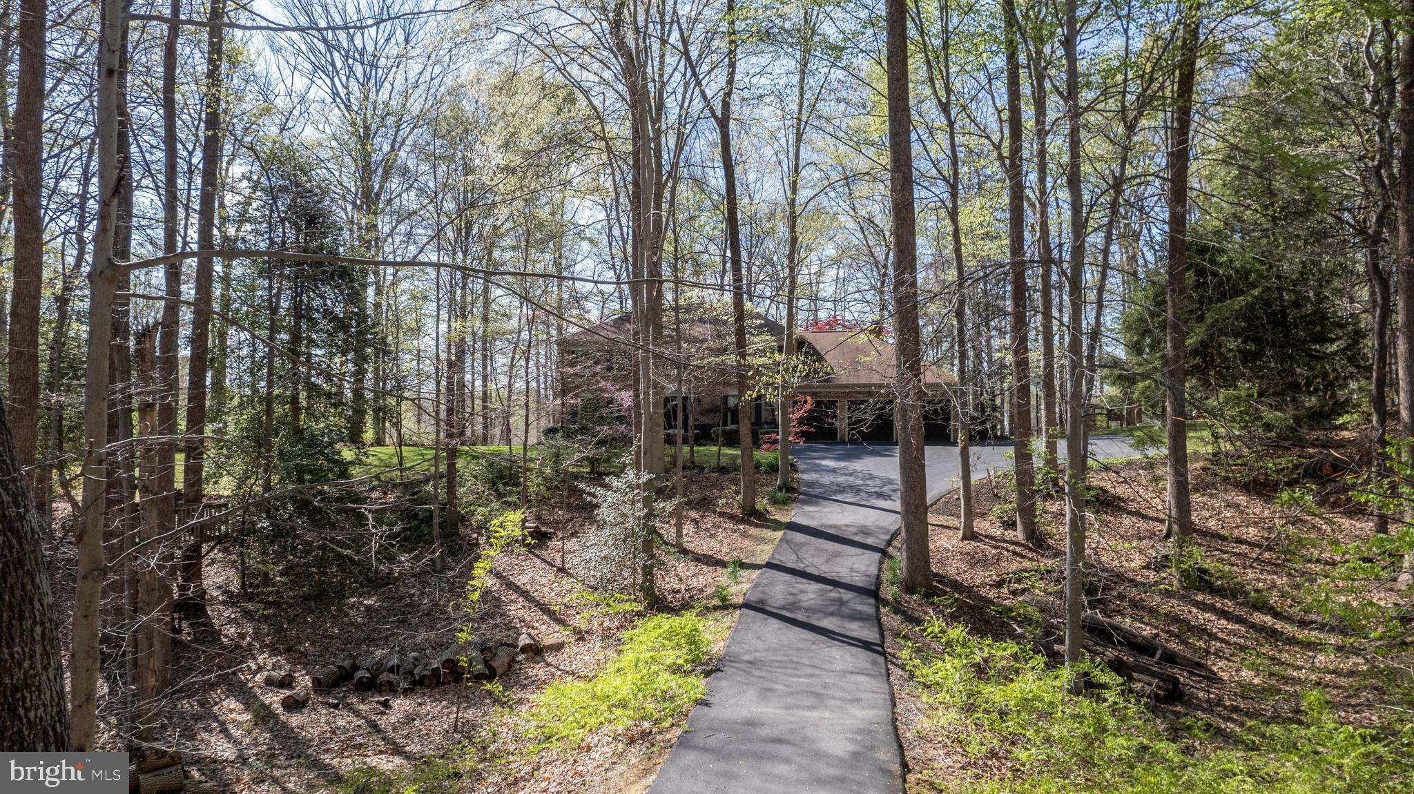 8232 Honeysuckle Road Manassas, VA 20112 - Photo 73 of 76 a view of a garden with large trees