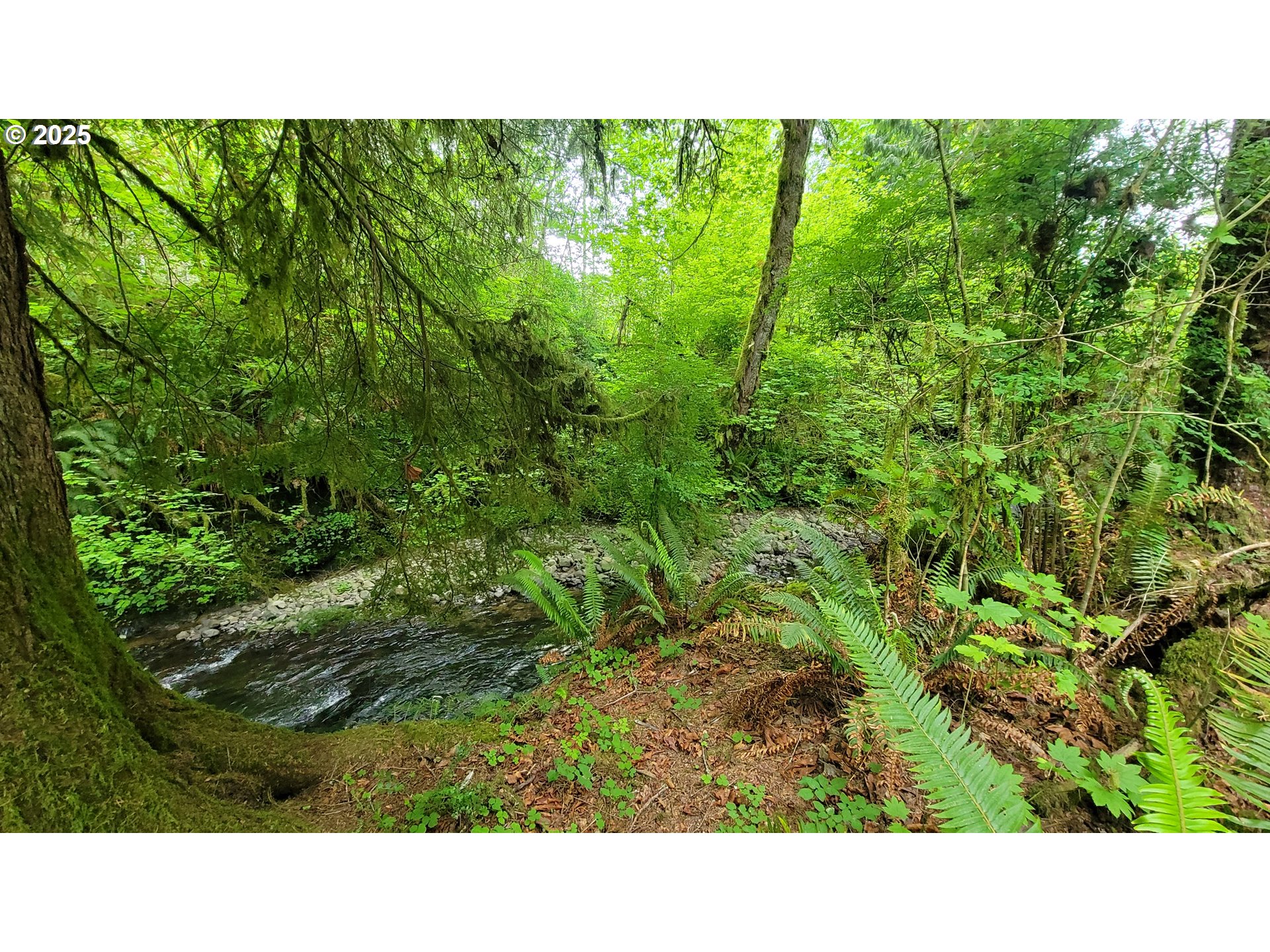 Svensen Market Road Astoria, OR 97103 - Photo 3 of 5 a open area with a yard
