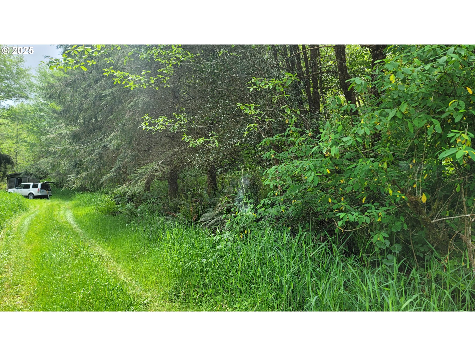 Svensen Market Road Astoria, OR 97103 - Photo 5 of 5 a open area with trees in the background
