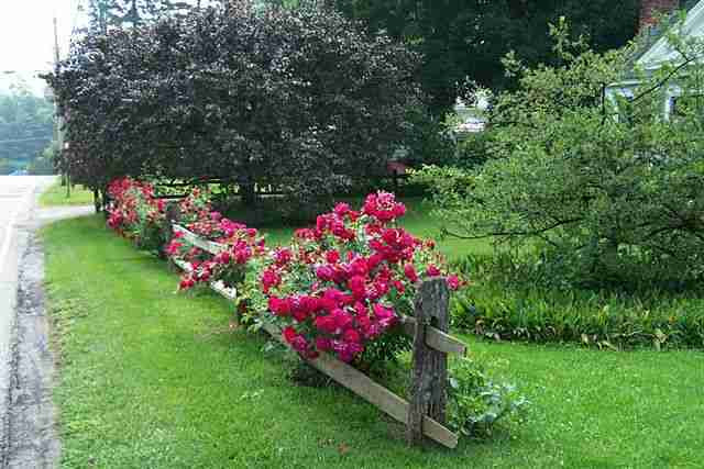 834 Diamond Point Road Diamond Point, NY 12824 - Photo 5 of 6 Photo 5