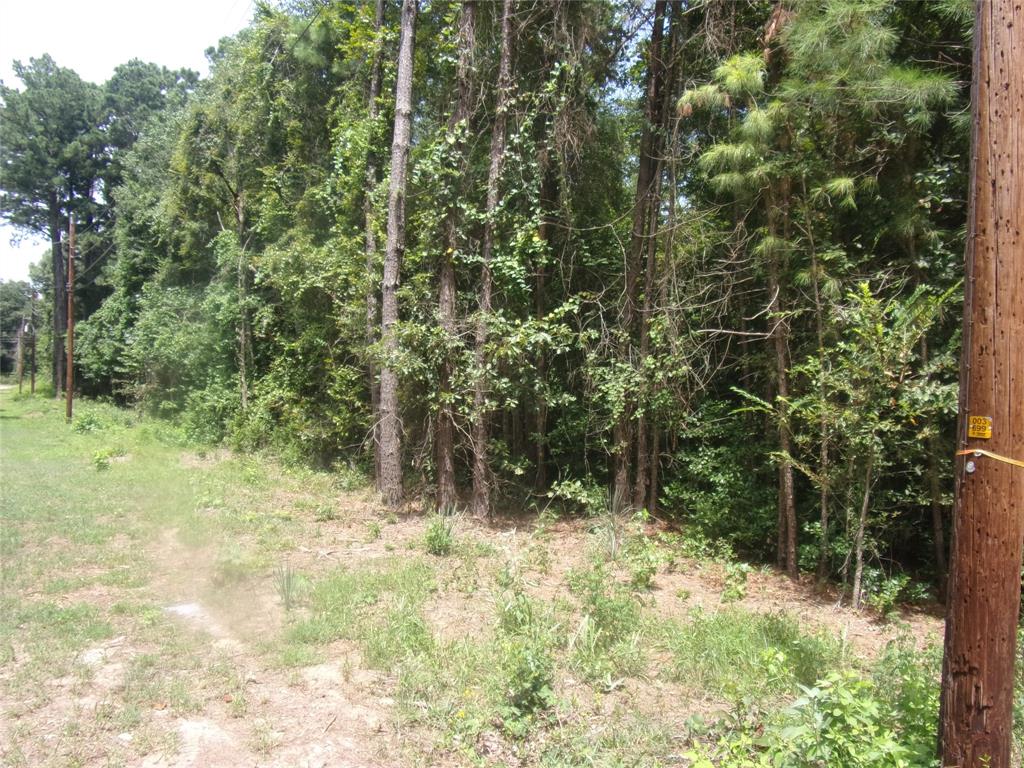 232 Sunny Ridge Murchison, TX 75778 - Photo 2 of 13 a view of backyard with green space