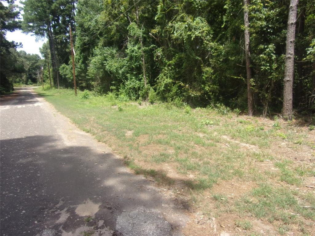 232 Sunny Ridge Murchison, TX 75778 - Photo 3 of 13 a view of a yard with a trees