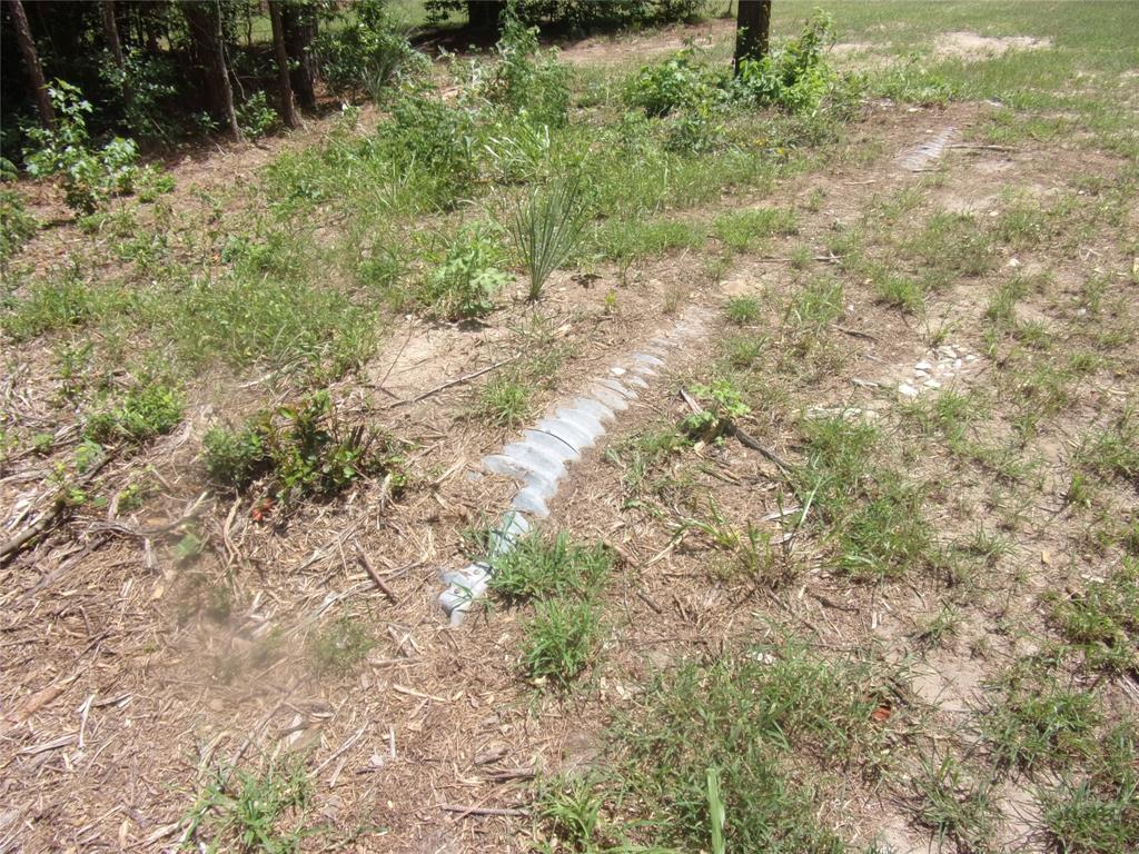 232 Sunny Ridge Murchison, TX 75778 - Photo 4 of 13 a view of a yard with plants and some trees