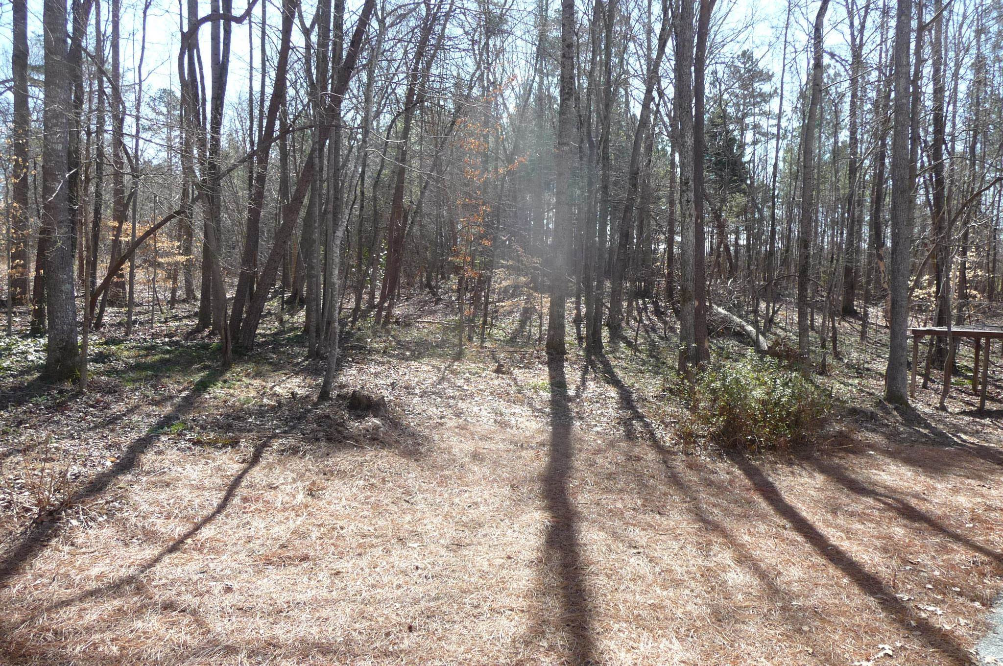 145 Junior Road Timberlake, NC 27583 - Photo 9 of 12 Photo 10