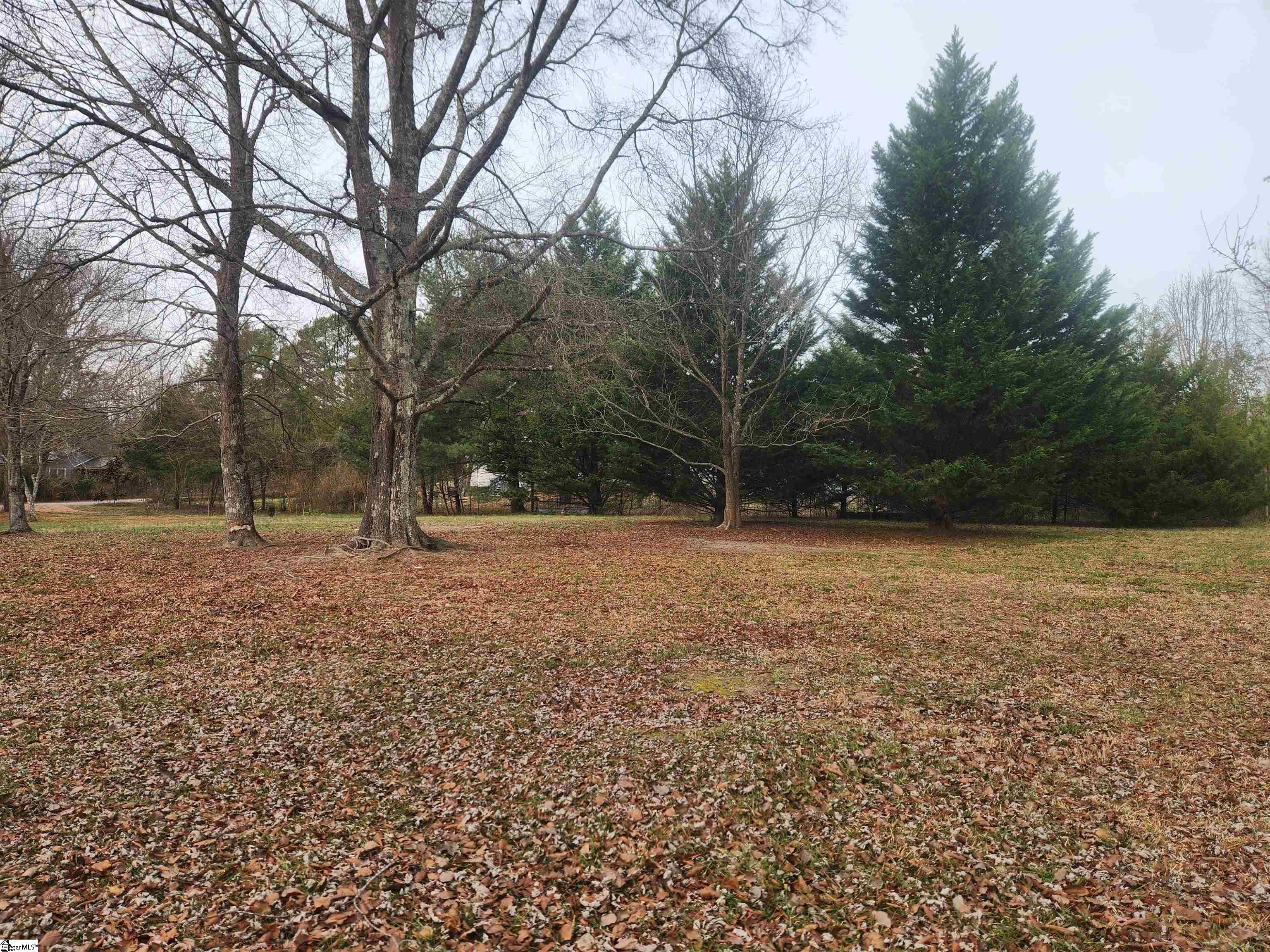 263 Babb Road Campobello, SC 29322 - Photo 24 of 31