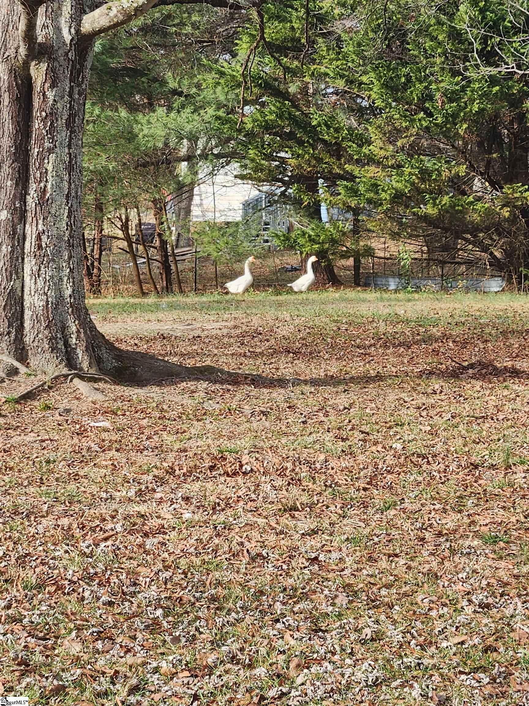 263 Babb Road Campobello, SC 29322 - Photo 25 of 31