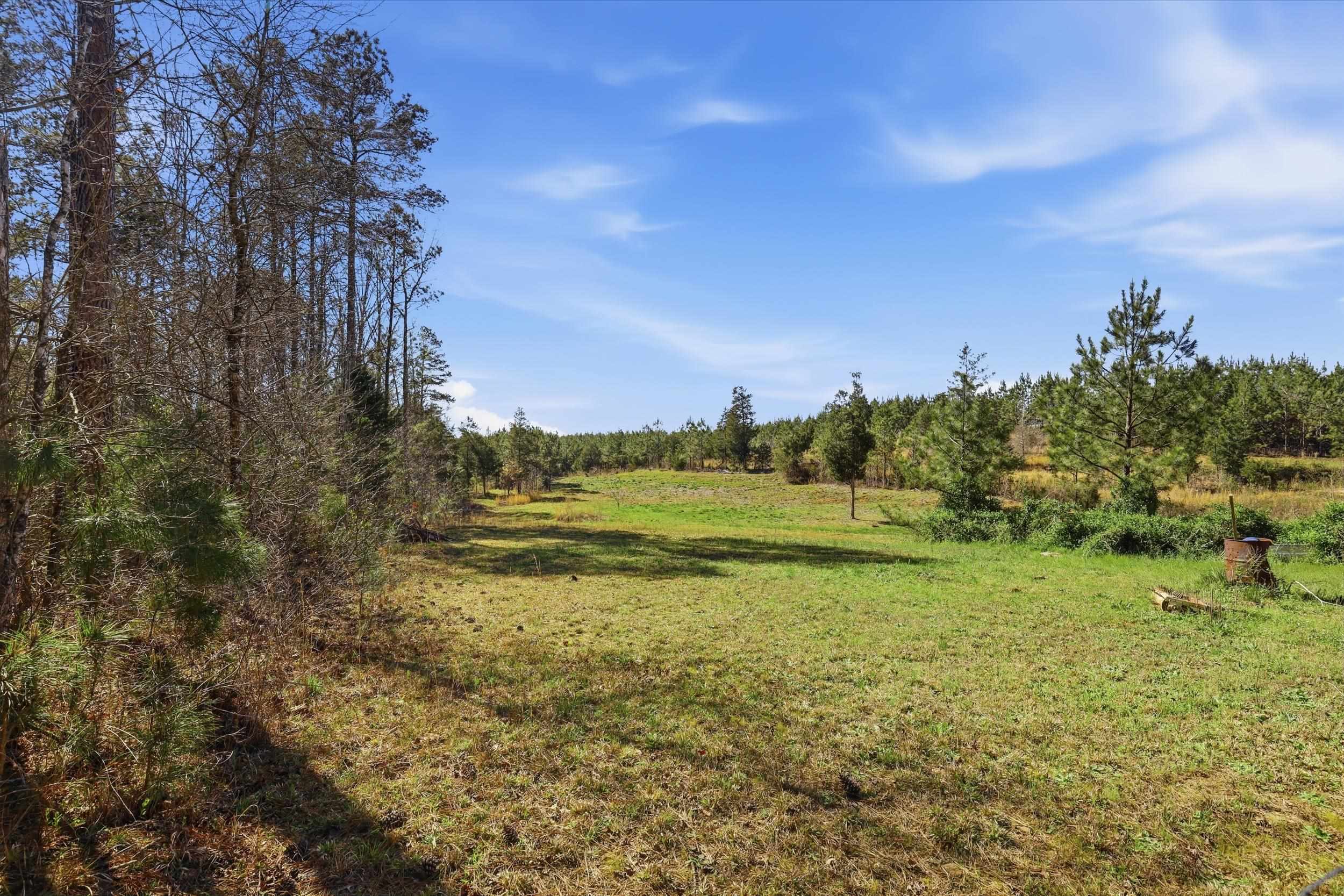 1429 Ball Park Road Enoree, SC 29335 - Photo 27 of 32