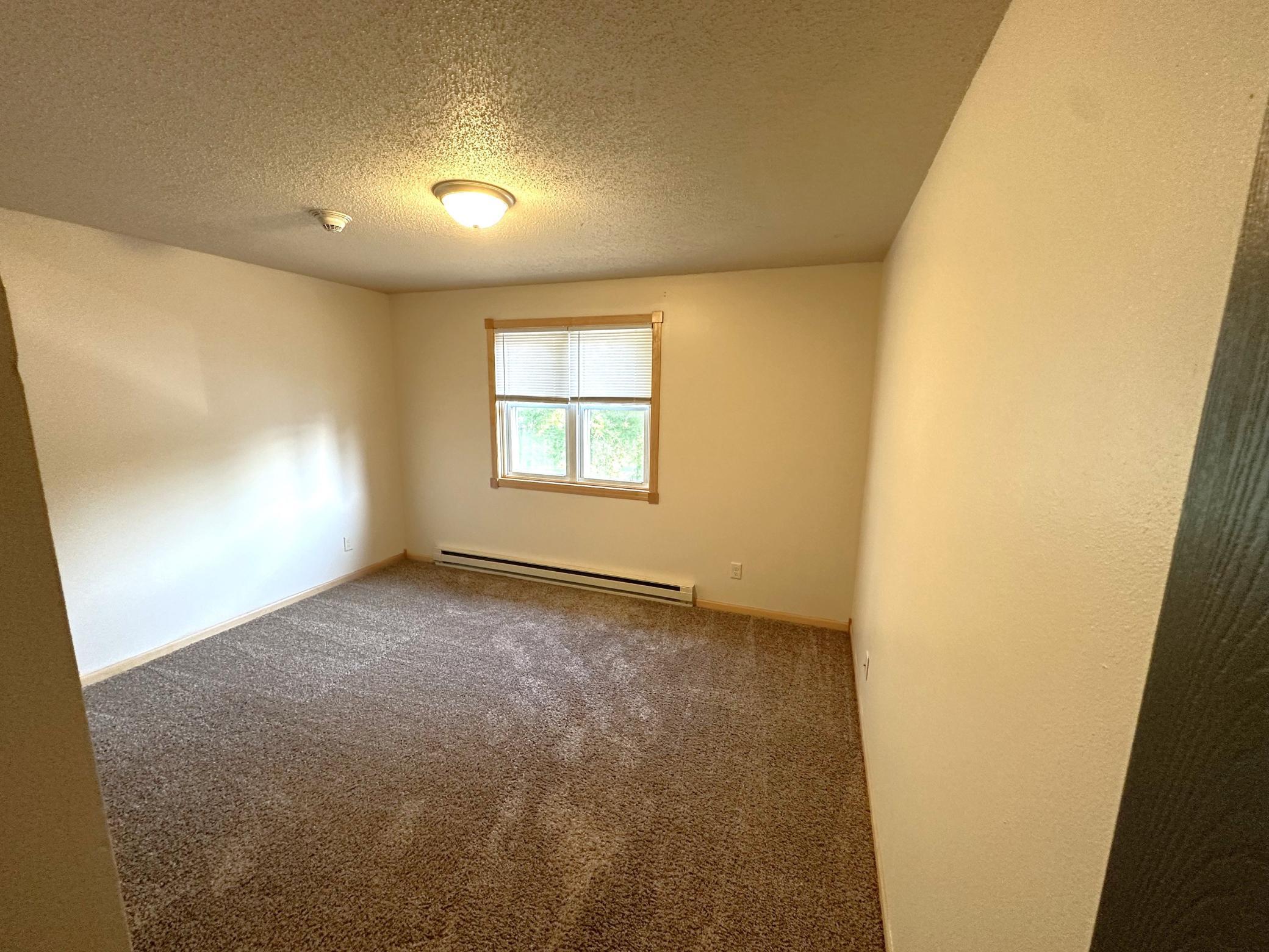 308 Willow Street, Unit 6 Somerset, WI 54025 - Photo 6 of 10