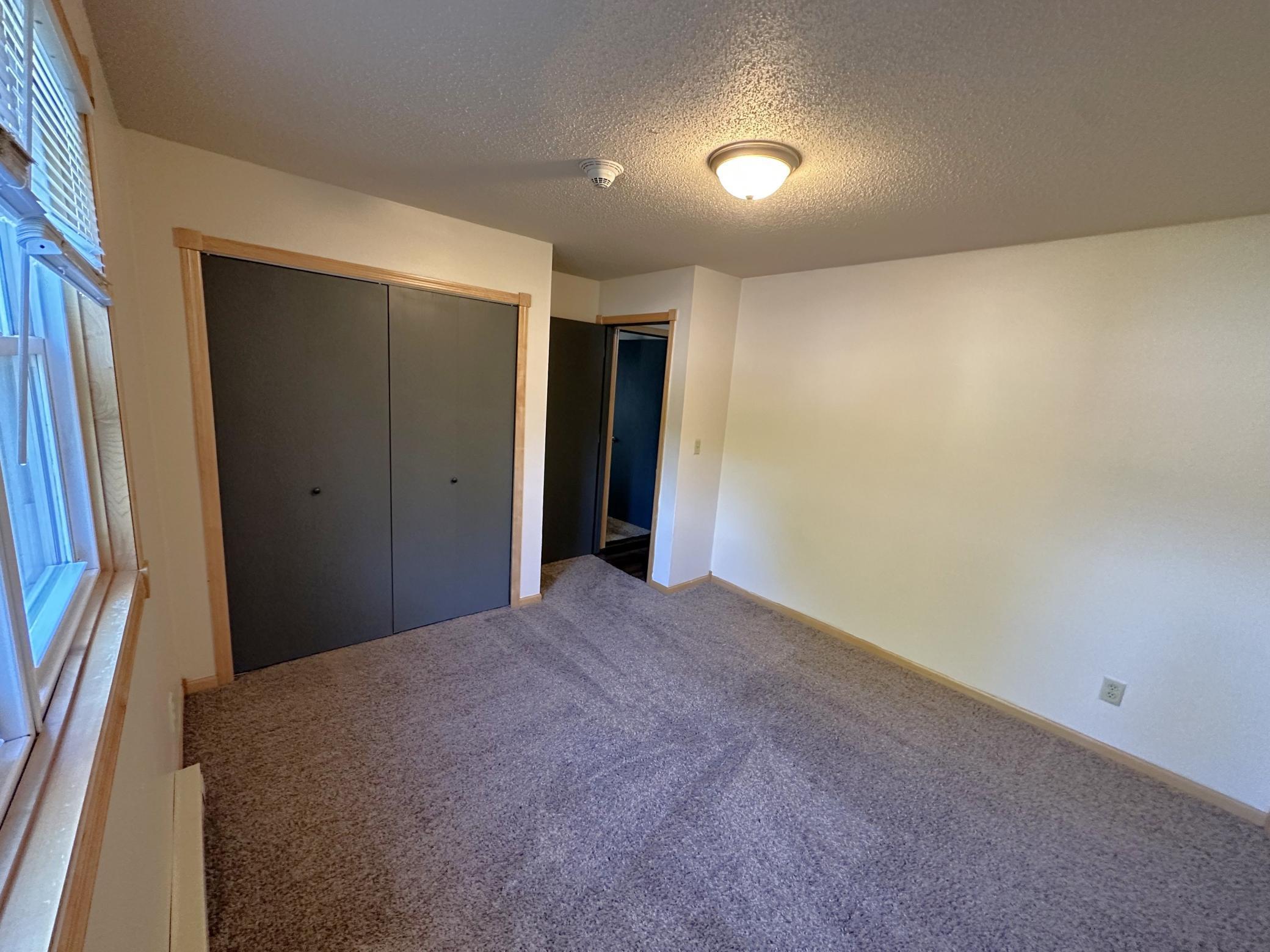 308 Willow Street, Unit 6 Somerset, WI 54025 - Photo 9 of 10