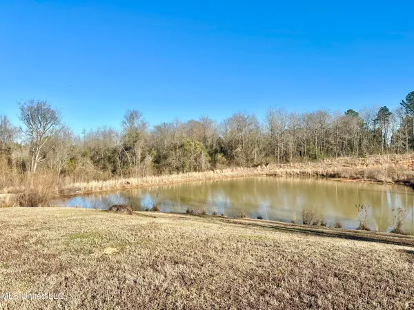$289,900 | 391 Scr 62, Magee, MS 39111