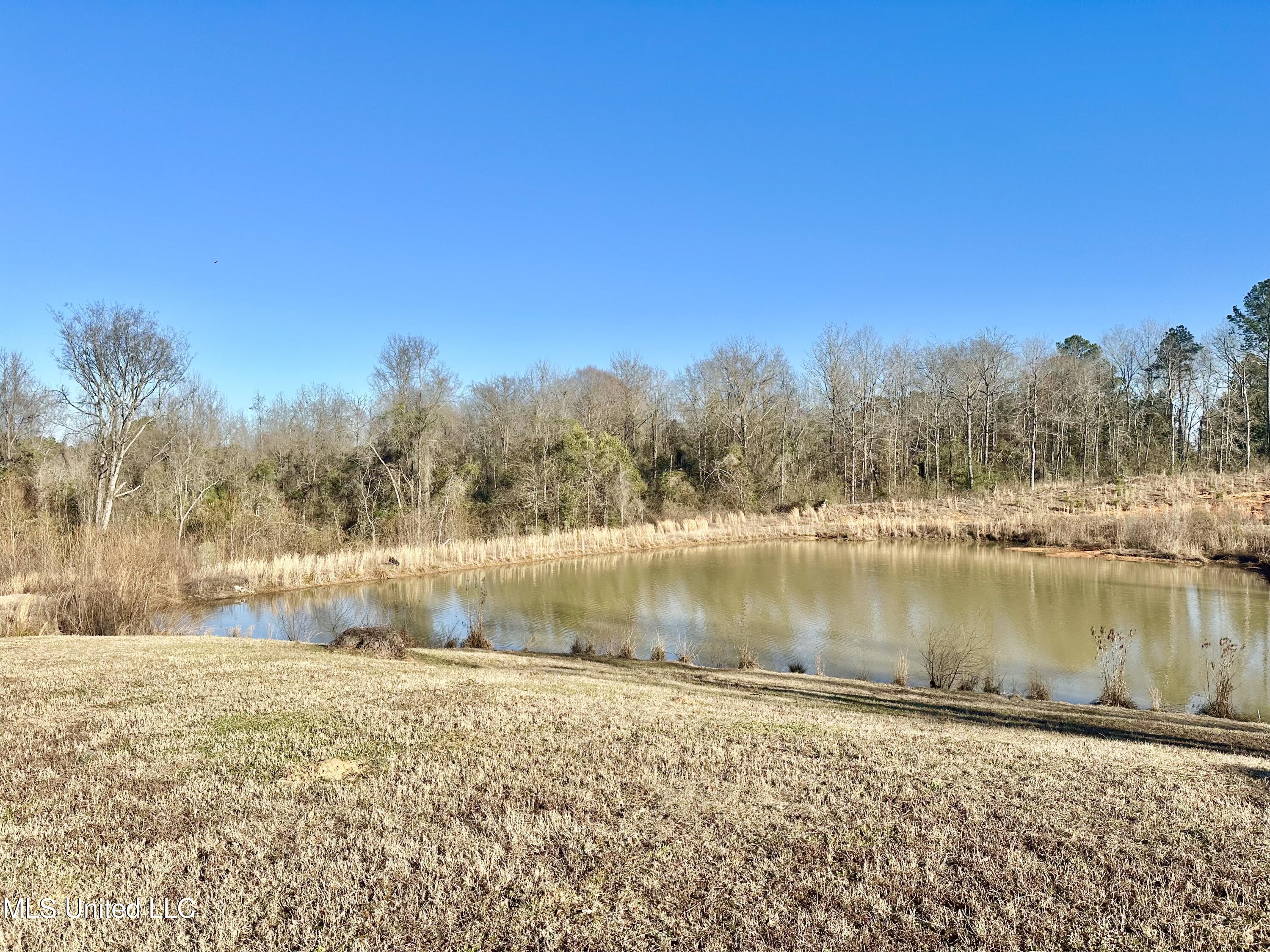391 Scr 62 Magee, MS 39111 - Photo 7 of 31 IMG_9987