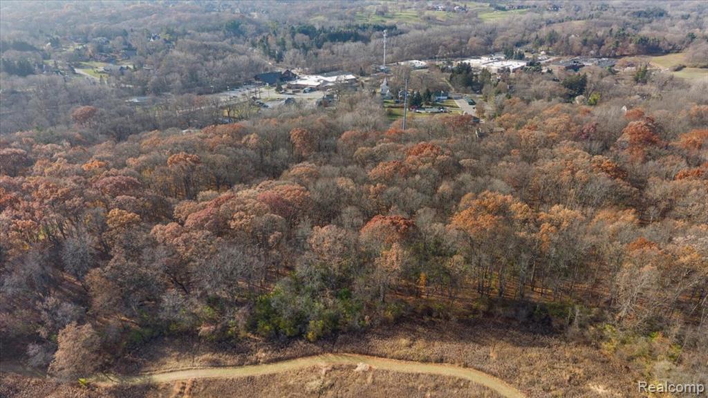 0 Collins Road Oakland, MI 48306 - Photo 8 of 16