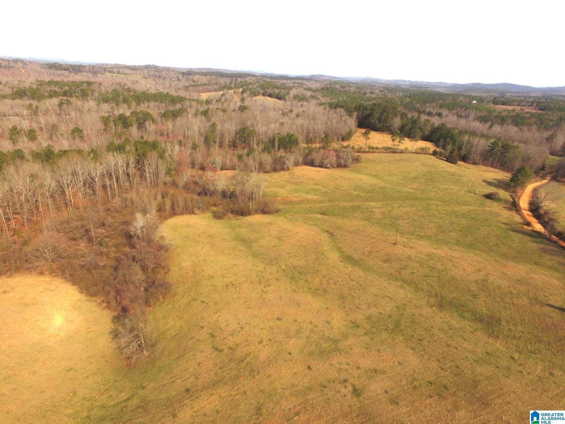 1500 Shiloh Church Road, Unit 81 95 ACRES Delta, AL 36258 - Photo 9 of 28