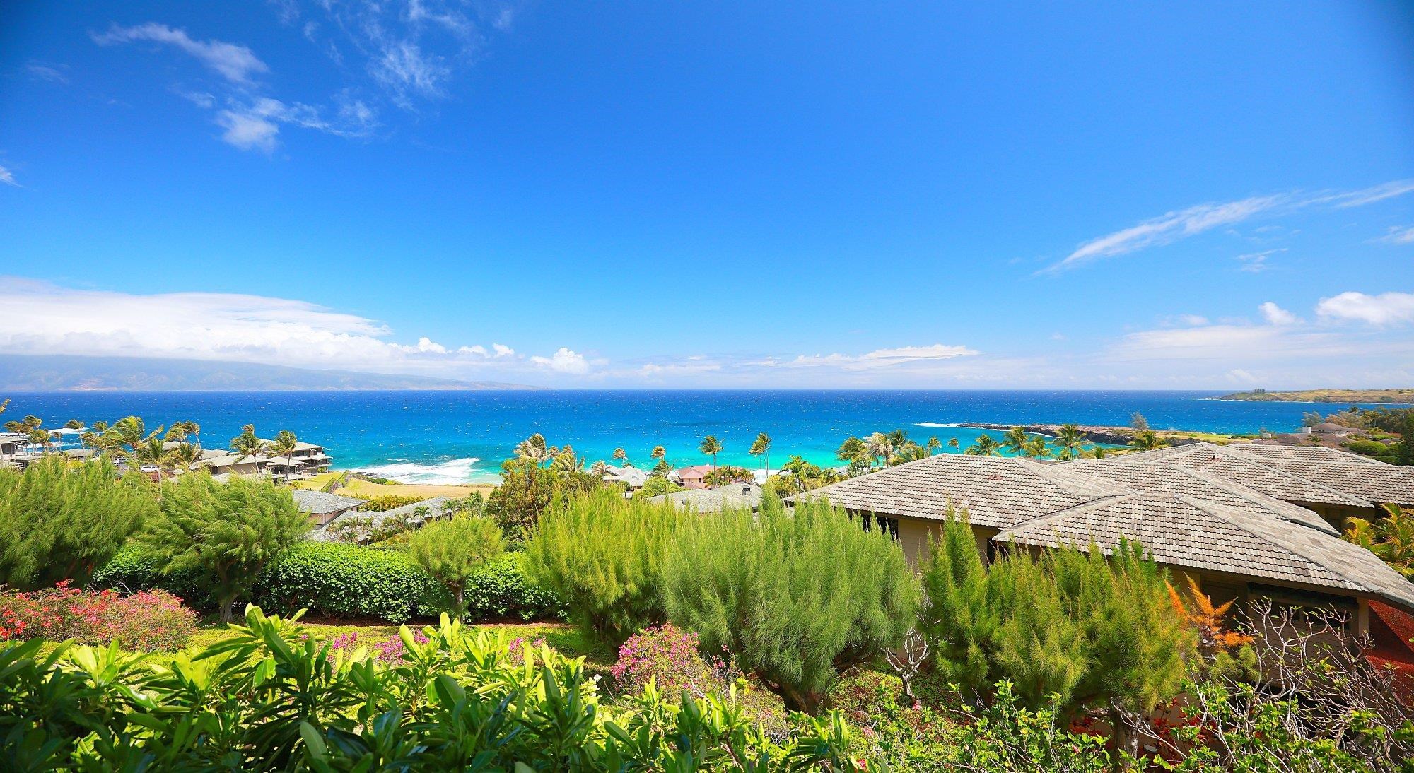 100 Ridge Road, Unit 191113 Lahaina, HI 96761 - Photo 50 of 50 Gallery Image 50