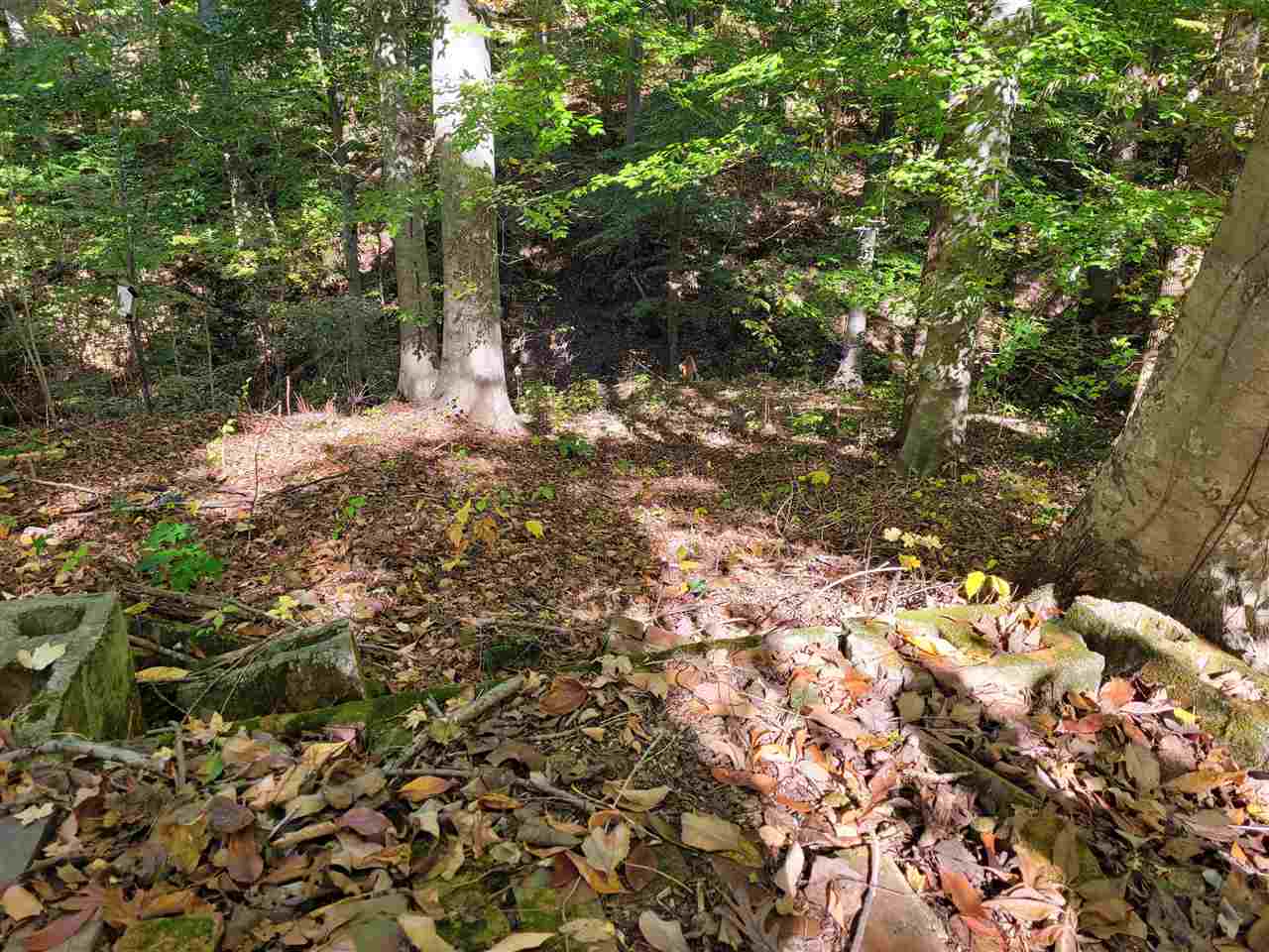 164 Pannell Road Millington, TN 38053 - Photo 25 of 25 Gallery Image 25