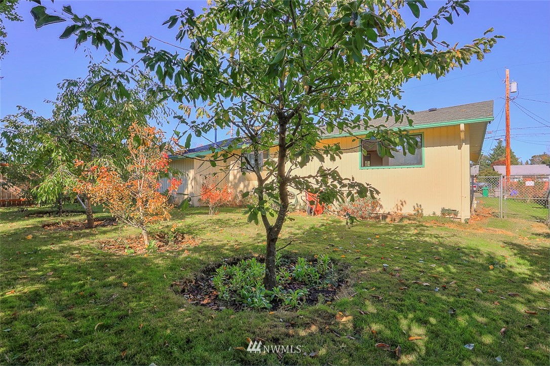 3601 Northeast 10th Street Renton, WA 98056 - Photo 2 of 25 a backyard of a house with lots of green space
