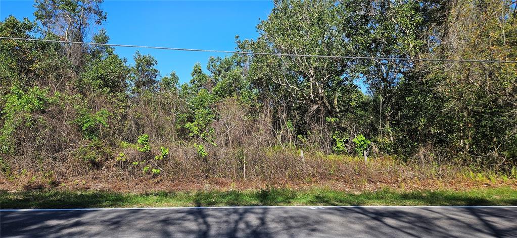 Timberlane Rd Lake Lake Wales, FL 33898 - Photo 3 of 5