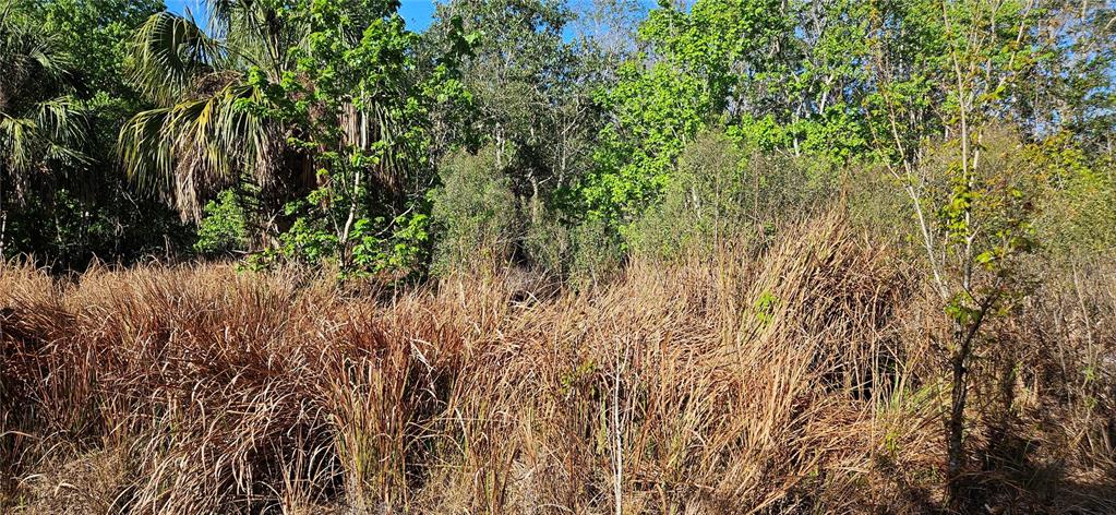 Timberlane Rd Lake Lake Wales, FL 33898 - Photo 5 of 5
