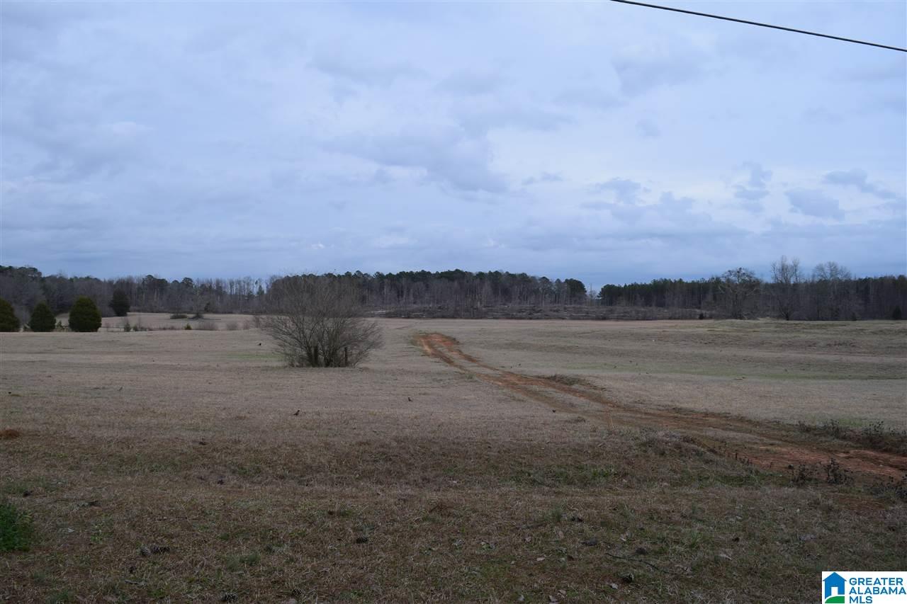 11112 Vance Blocton Road Vance, AL 35490 - Photo 5 of 20
