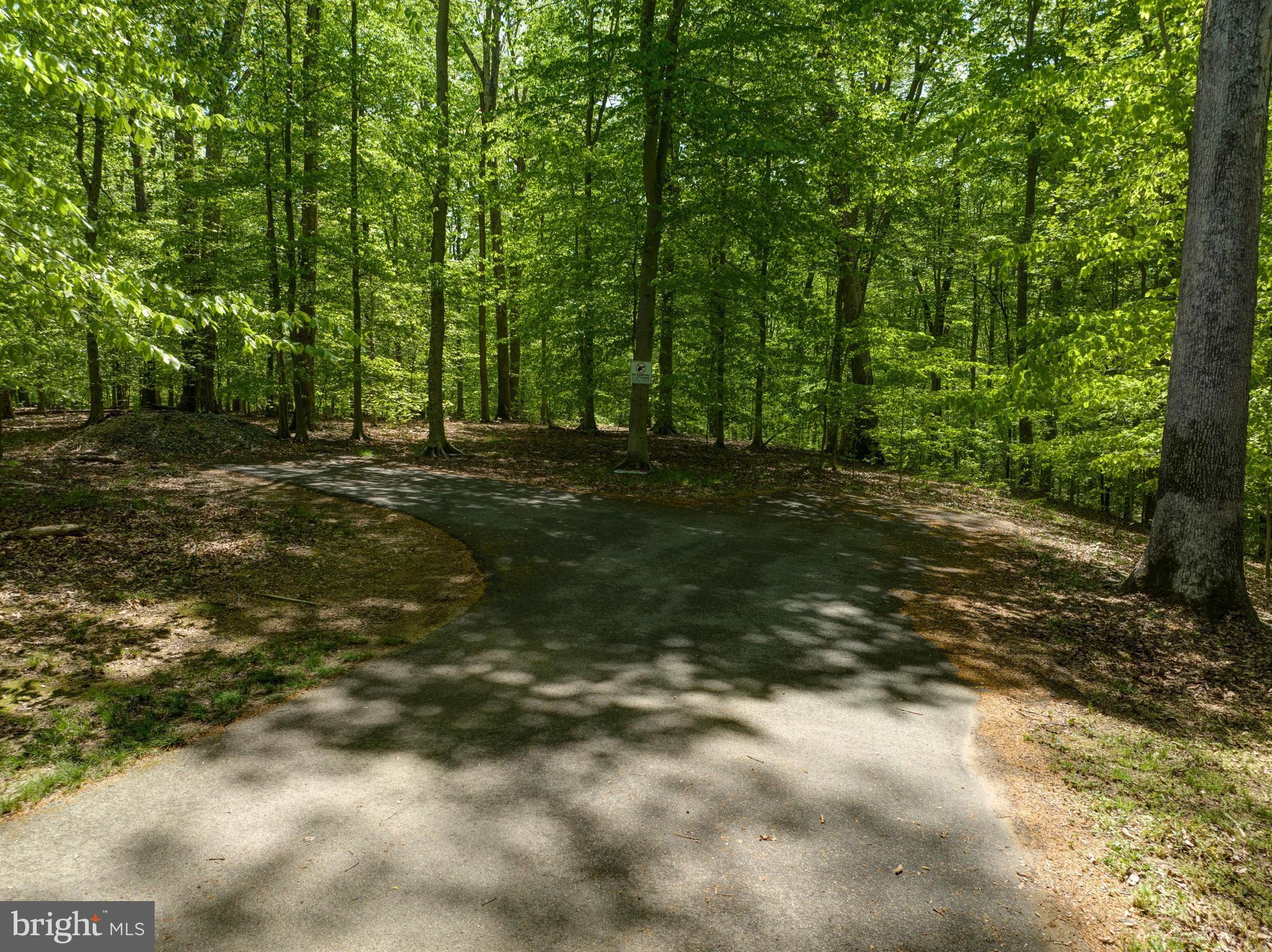 5325 Bennett Brae Place La Plata, MD 20646 - Photo 4 of 8 a big yard with trees