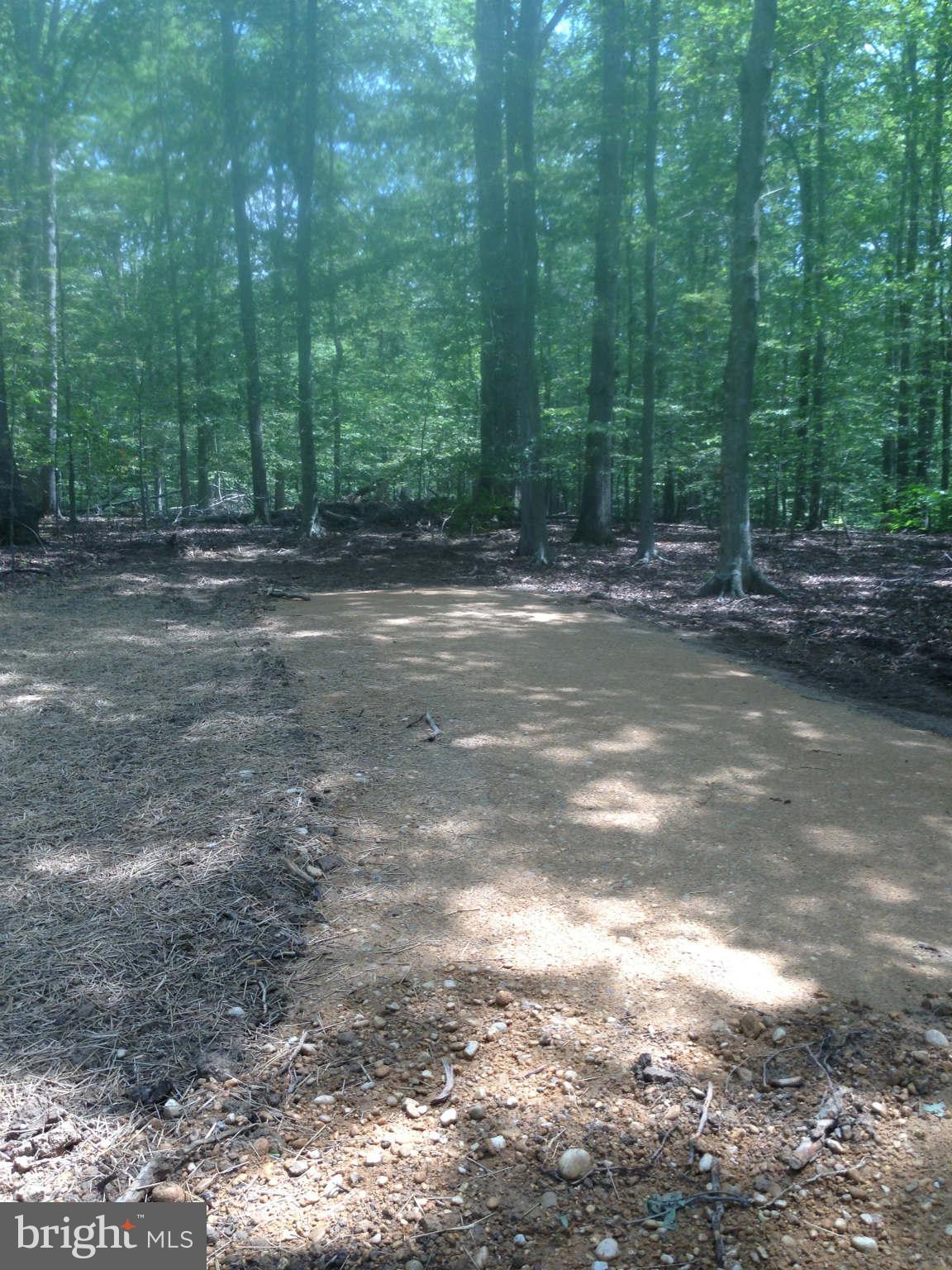 5325 Bennett Brae Place La Plata, MD 20646 - Photo 5 of 8 a view of a yard with trees in the background