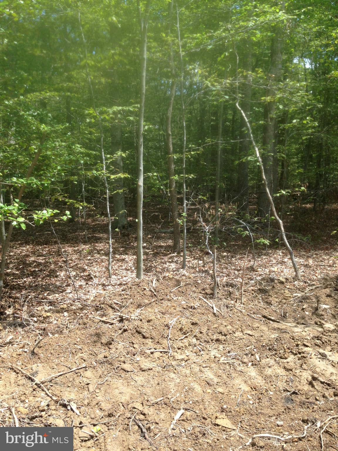 5325 Bennett Brae Place La Plata, MD 20646 - Photo 7 of 8 a view of a house with a yard