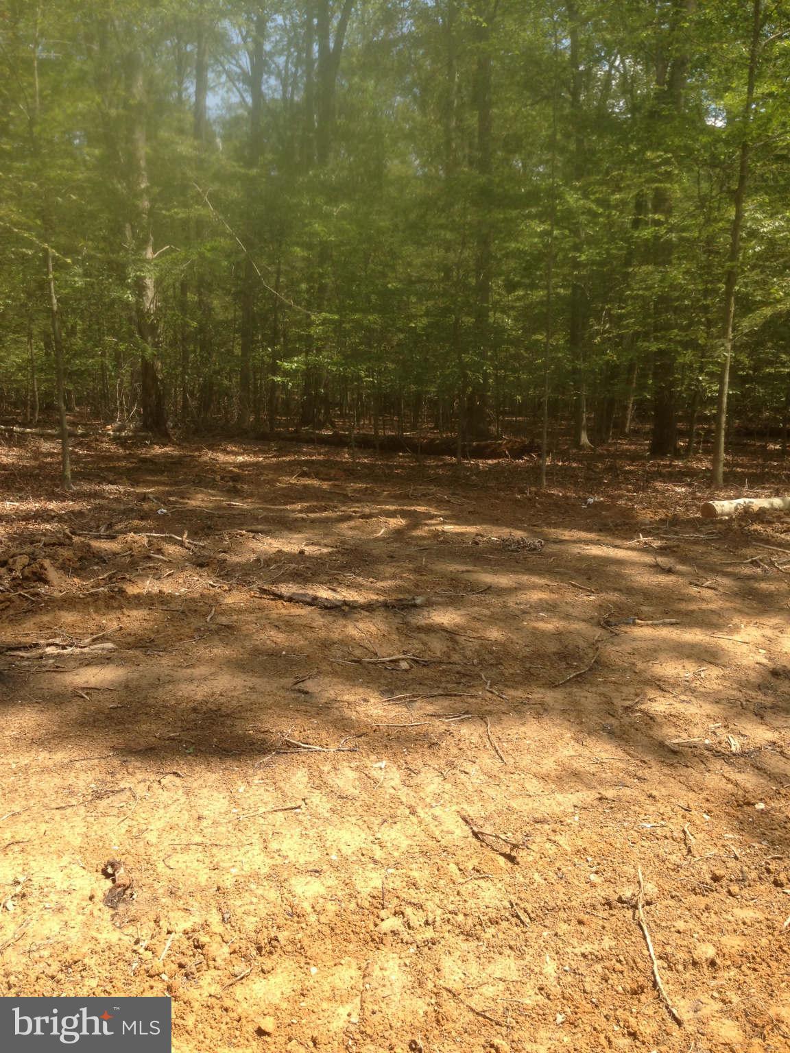 5325 Bennett Brae Place La Plata, MD 20646 - Photo 8 of 8 a view of a bathroom with bathtub
