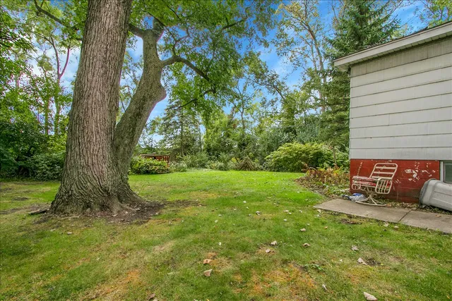 a view of a backyard with a tree