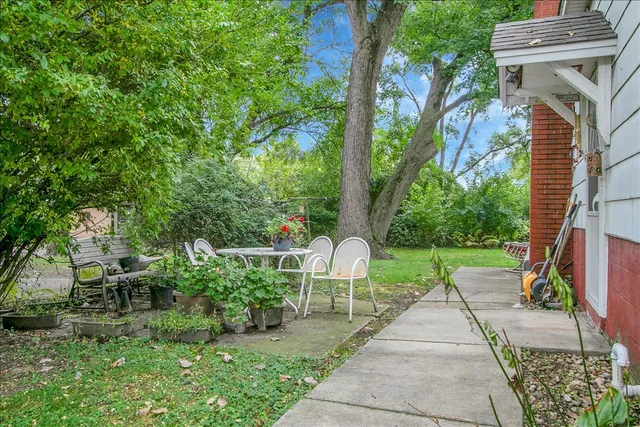 a view of garden with pathway