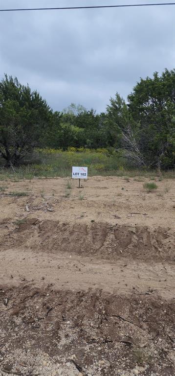 1129 County Road Nemo, TX 76070 - Photo 22 of 29 a view of a lake view with beach