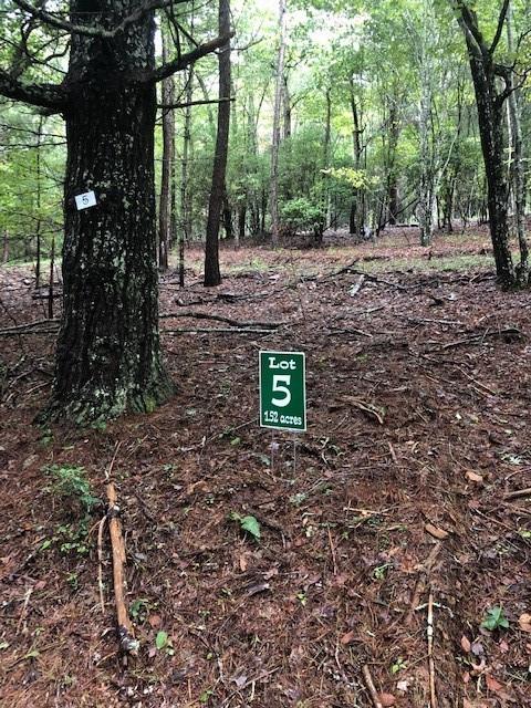 Lot 5 Hunter's Ridge Morganton, GA 30560 - Photo 1 of 1 Gallery Image 1