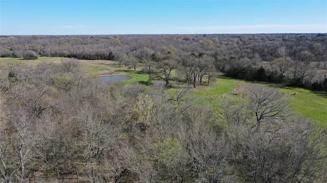a view of a field with an trees