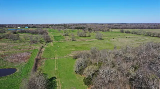 a view of a field with a tree