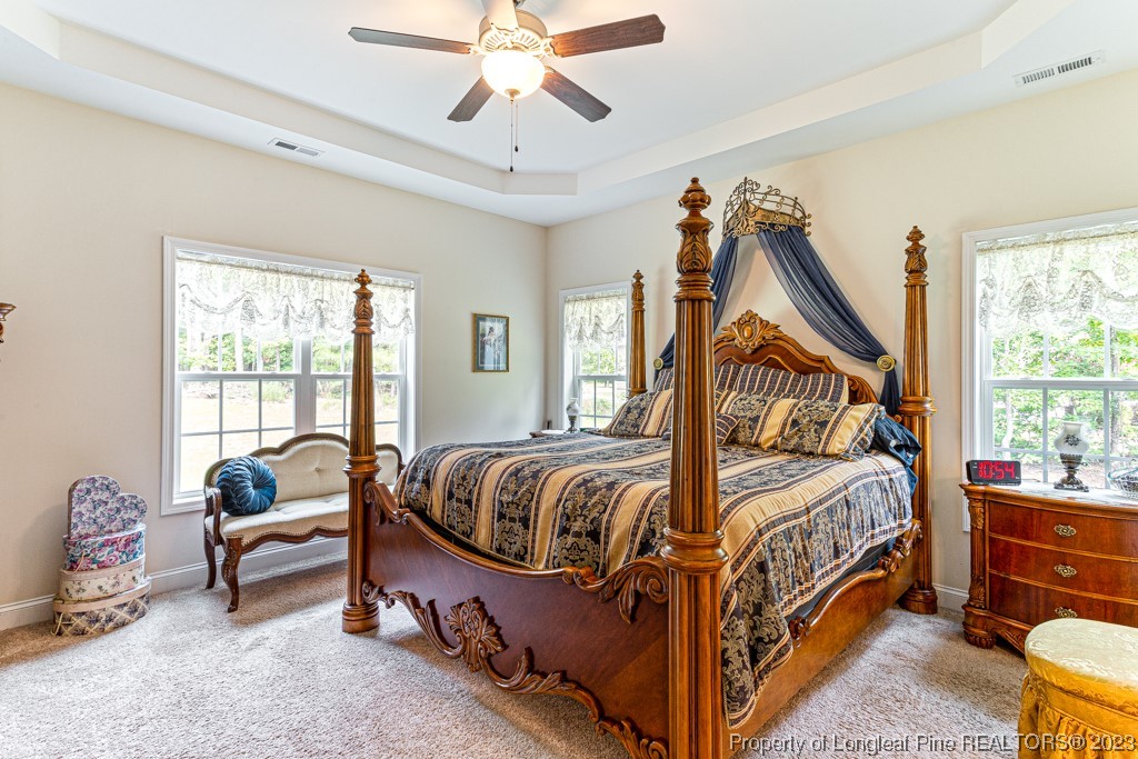 4532 Niagara Carthage Road Carthage, NC 28327 - Photo 23 of 44 a bedroom with a bed and a window