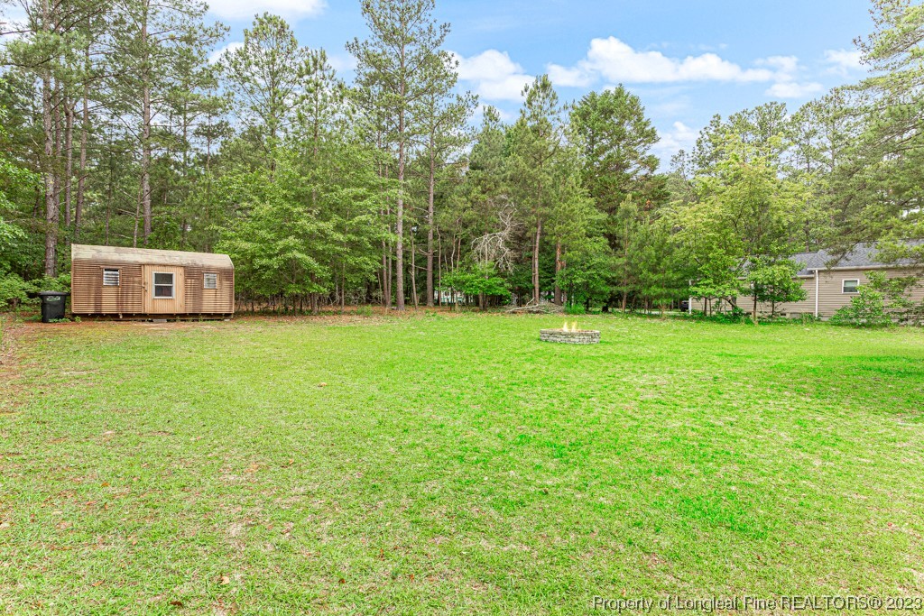4532 Niagara Carthage Road Carthage, NC 28327 - Photo 43 of 44 a view of a green field with trees in the background
