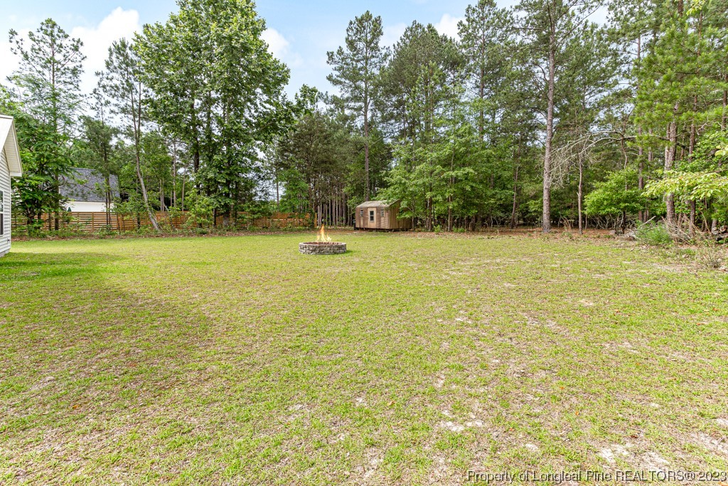 4532 Niagara Carthage Road Carthage, NC 28327 - Photo 44 of 44 a view of a field with trees in the background
