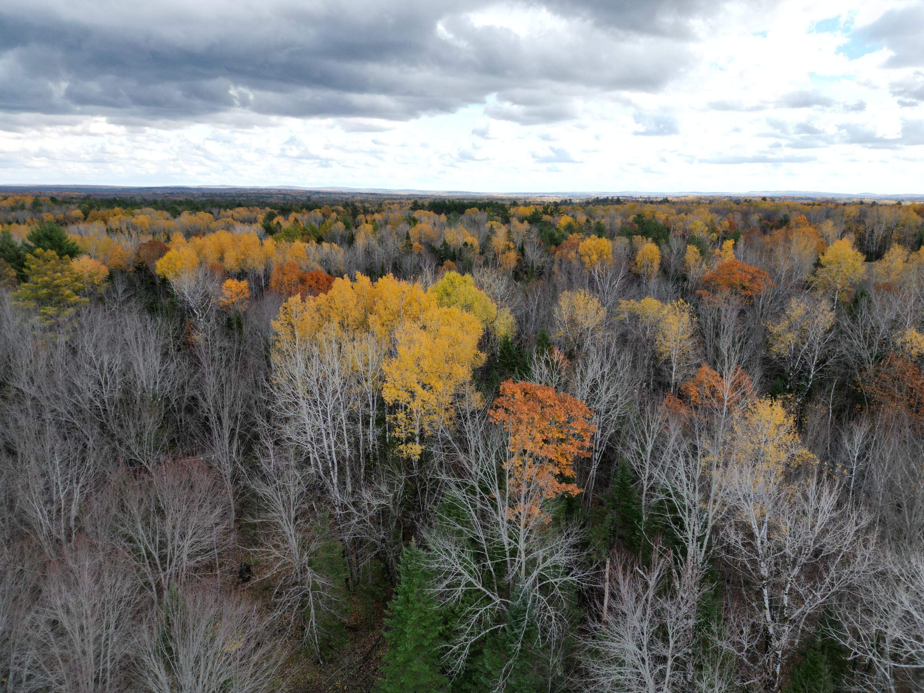 1060 Kingman Road Kingman, ME 04451 - Photo 11 of 21 DJI_0038
